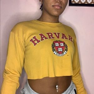 Harvard crop top